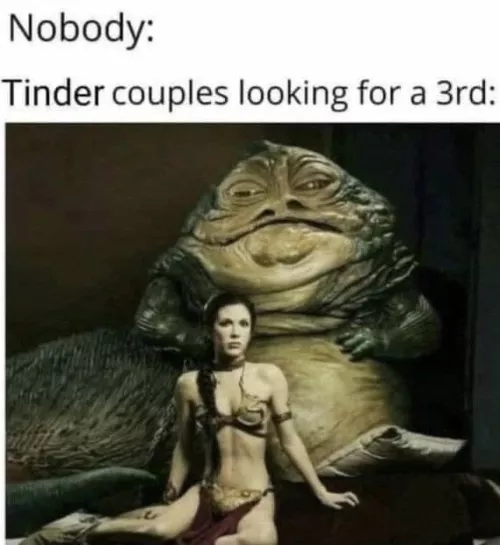 Reddit too haha by lacey_kitten