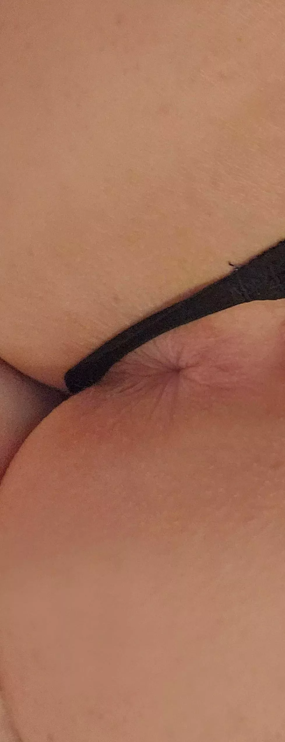 Smashable or pass 🌹 posted by outlawBW1776