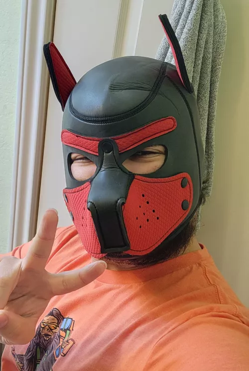 So happy this sub is back! by SaneRoleplay