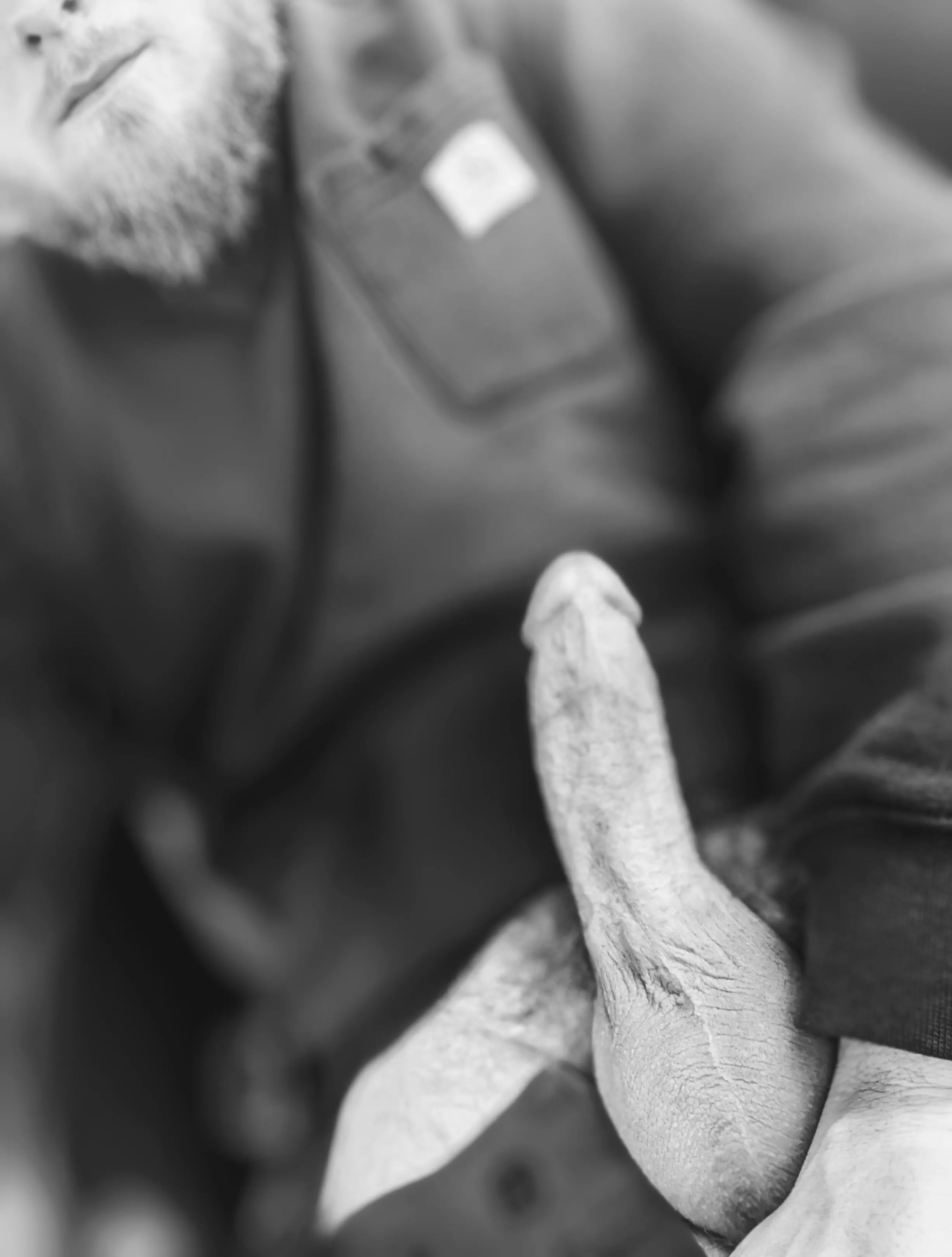 Suck or fuck?? [Male] posted by Hidenseek90