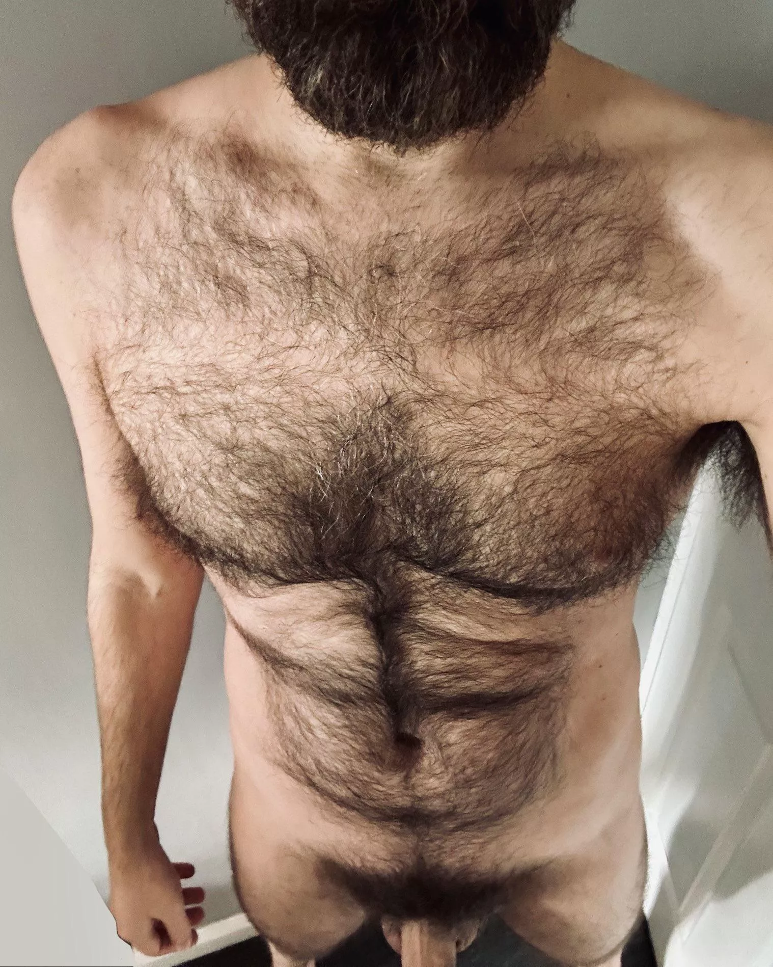 There's just hair everywhere... posted by jerseyjaxoff