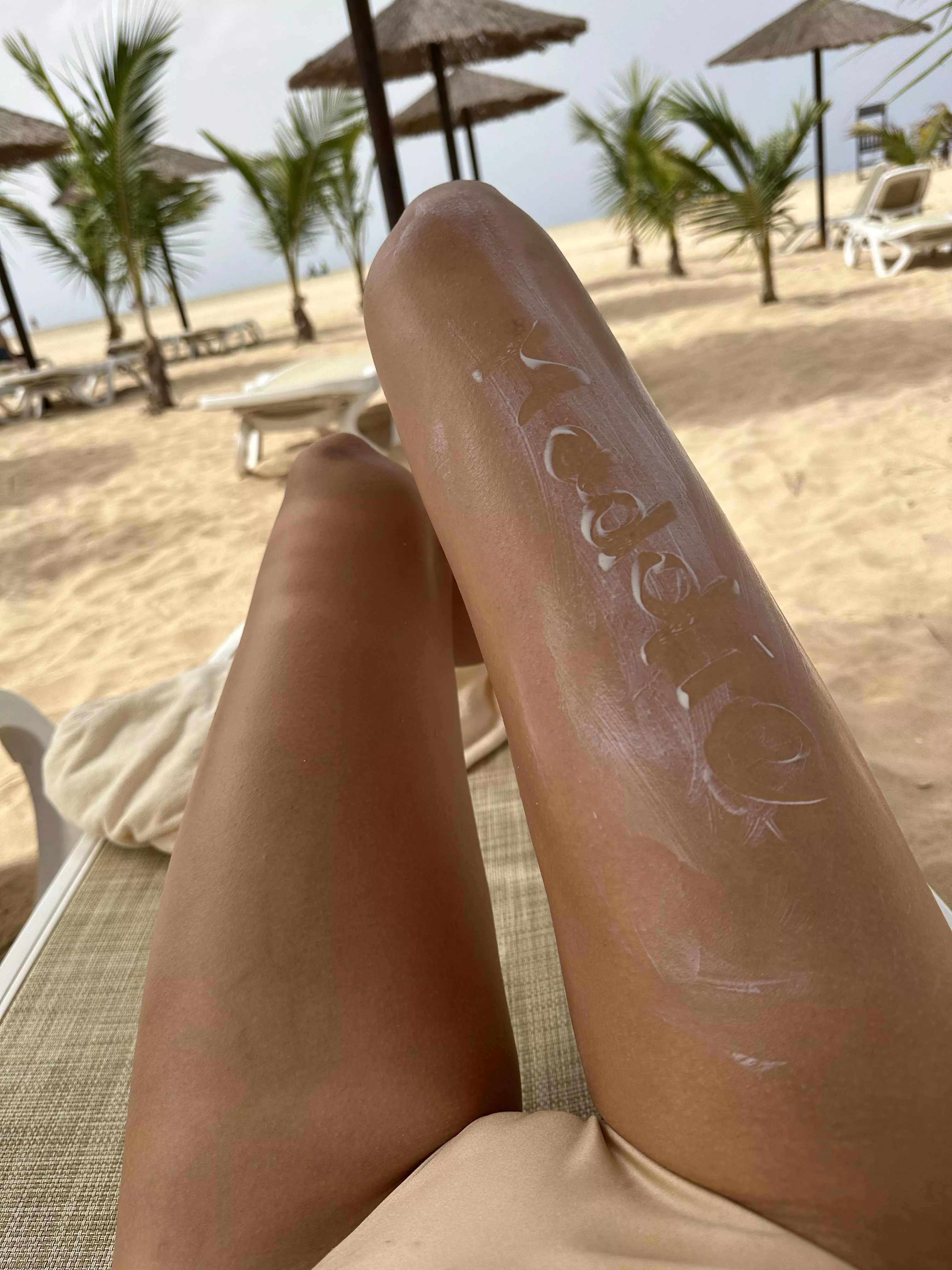 Would you mind eating me instead of your meal? posted by bumpycampaign