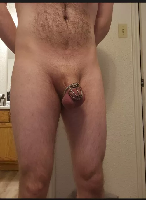 Always progress. The plugs get bigger...and the cages get smaller by thelastcoffee8