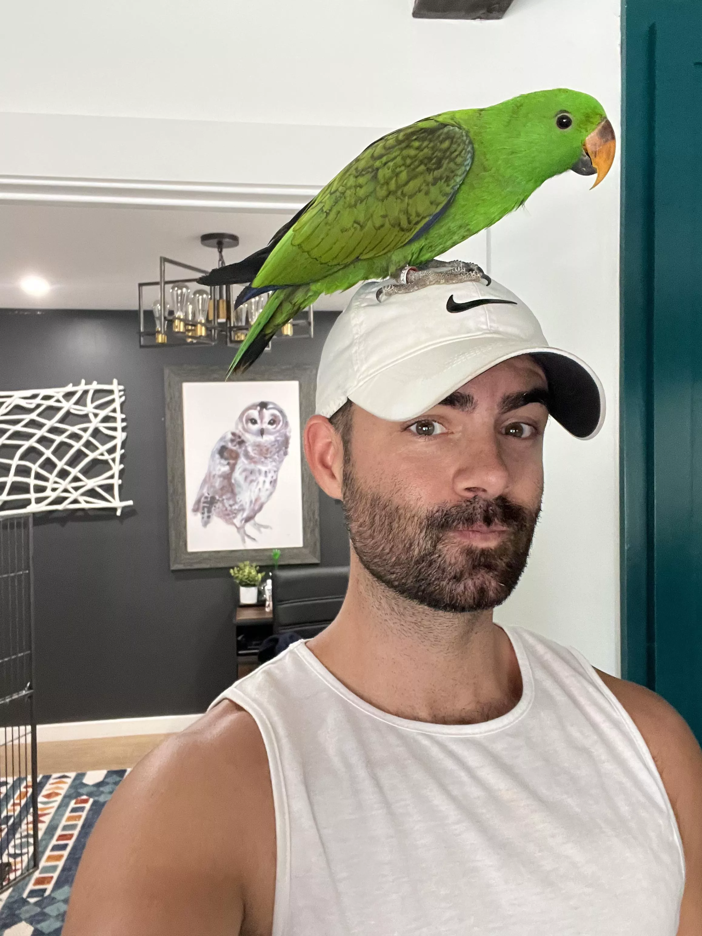 Are we posting our birds now? posted by wheresmomo