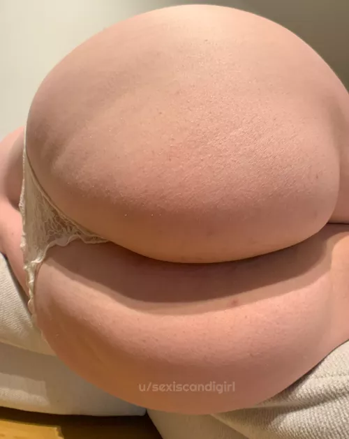 Are you brave enough to let me sit on your face? by sexiscandigirl