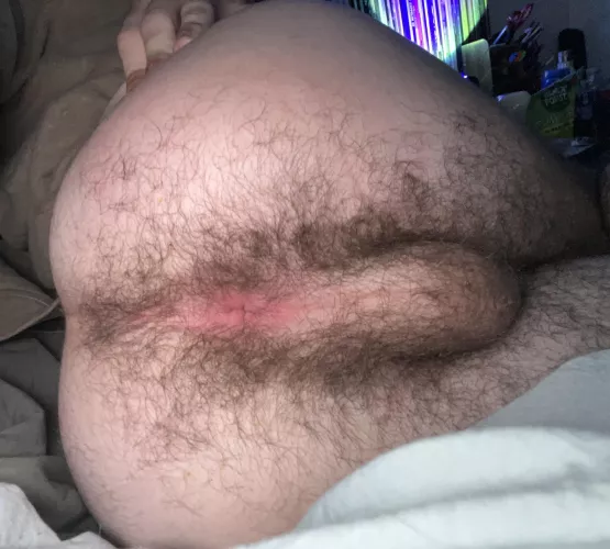 Care to dig in? by trp8n08