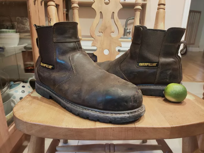 CAT Powerplant dealer 3 years old by rentssssz