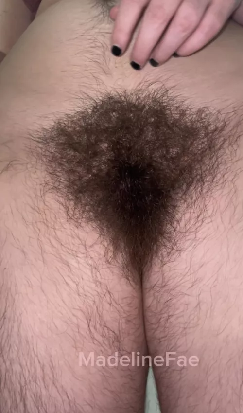 could you guess how long it is? by madelinefae