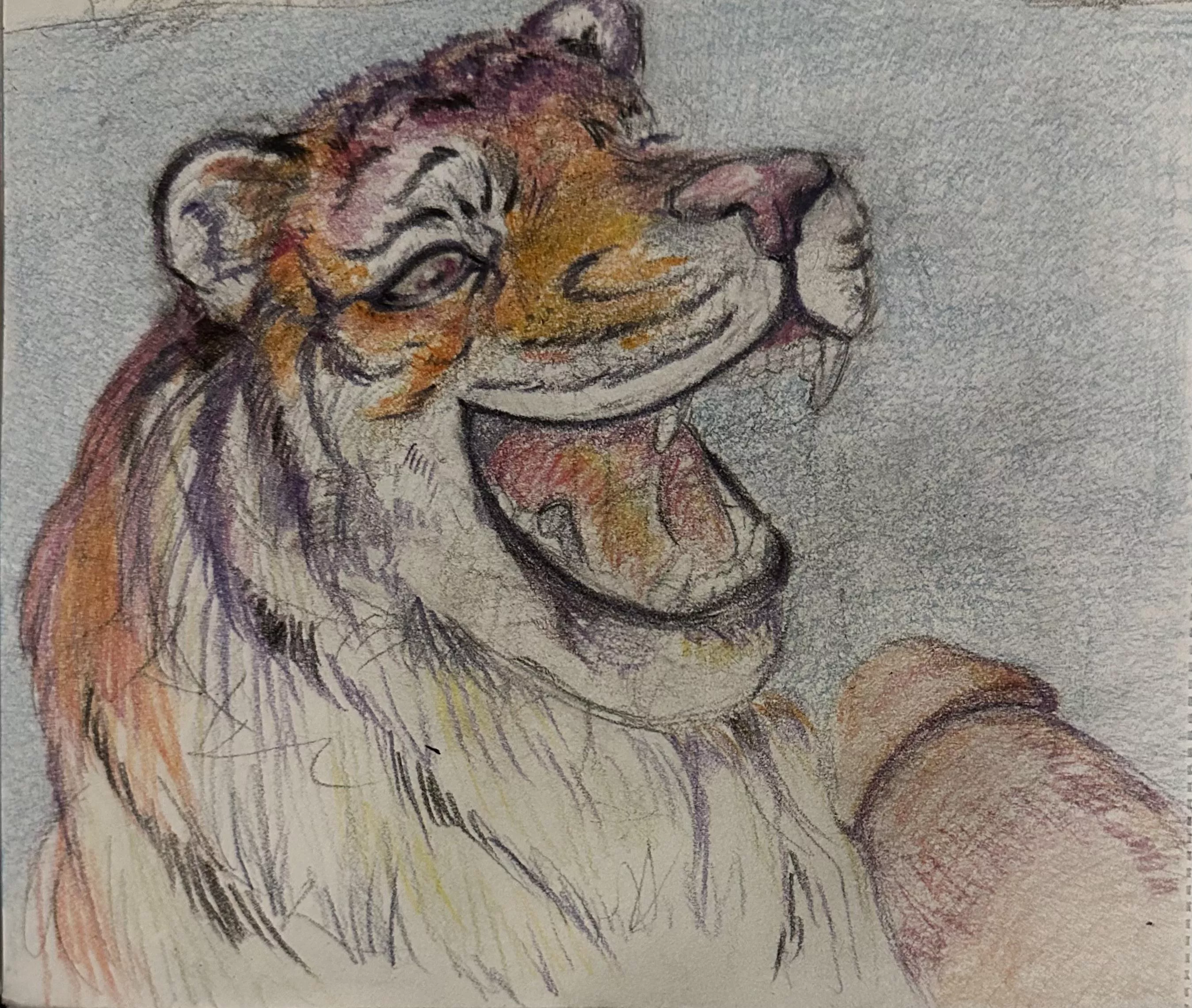 Eager Tiger (by: Me) posted by onceagainanothertw