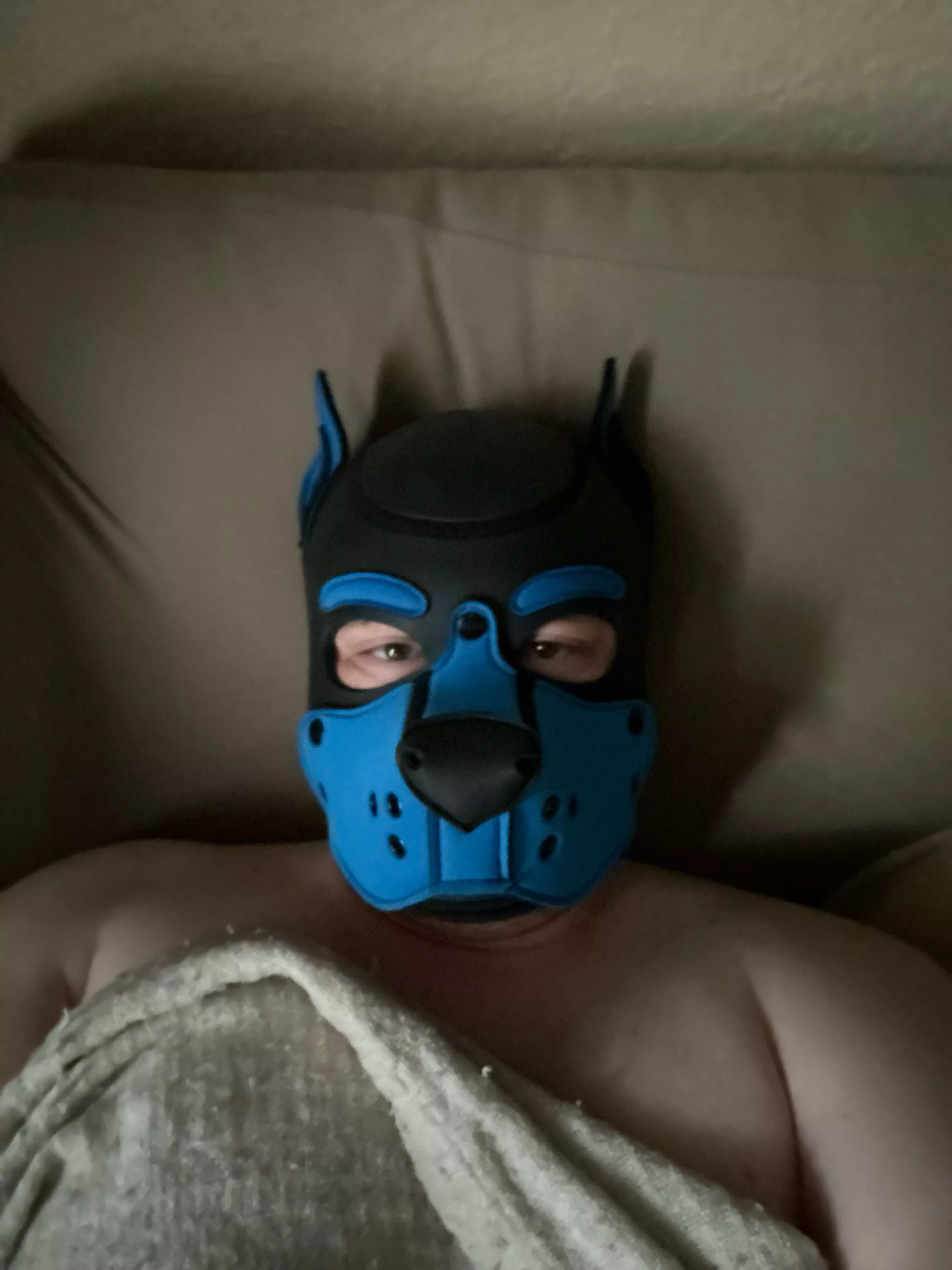 Everybody’s pupping for the weekend! posted by False_Definition_747
