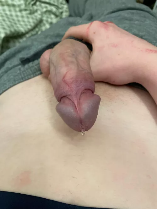 Finish me off by No-Service7499