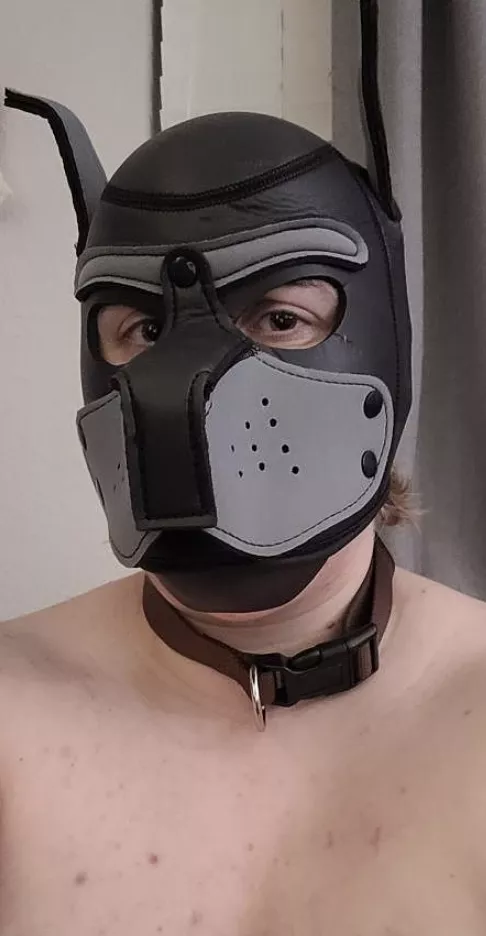 good boys get to be bred deep. (ftm, he/him) posted by tydale2