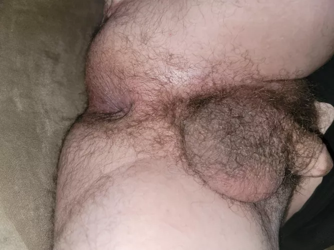 Hairy enough? by Neither-Watch-6825