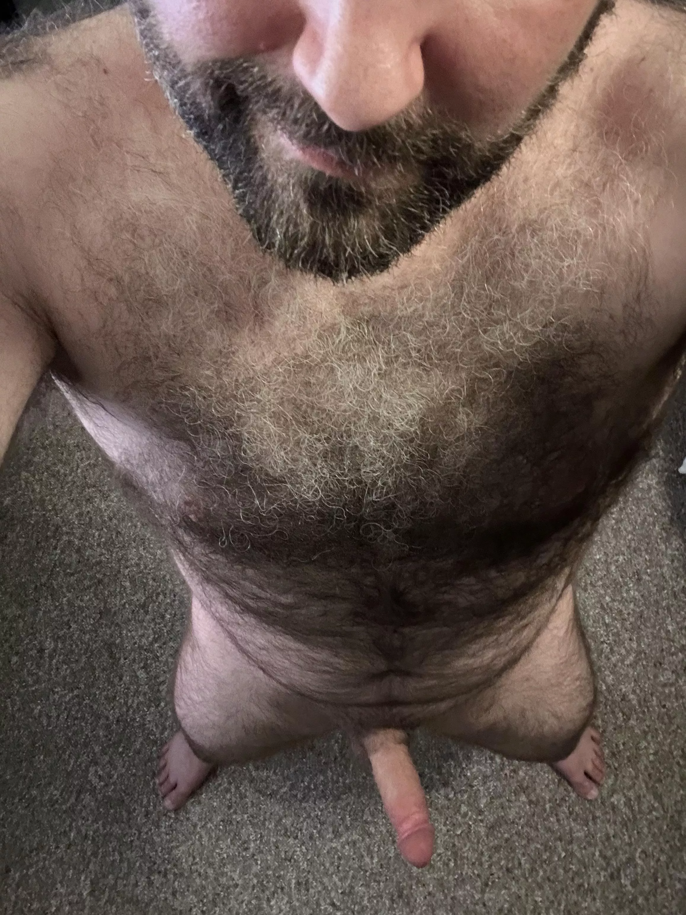 Hope you like hairy [41] posted by Infinite-Size-88
