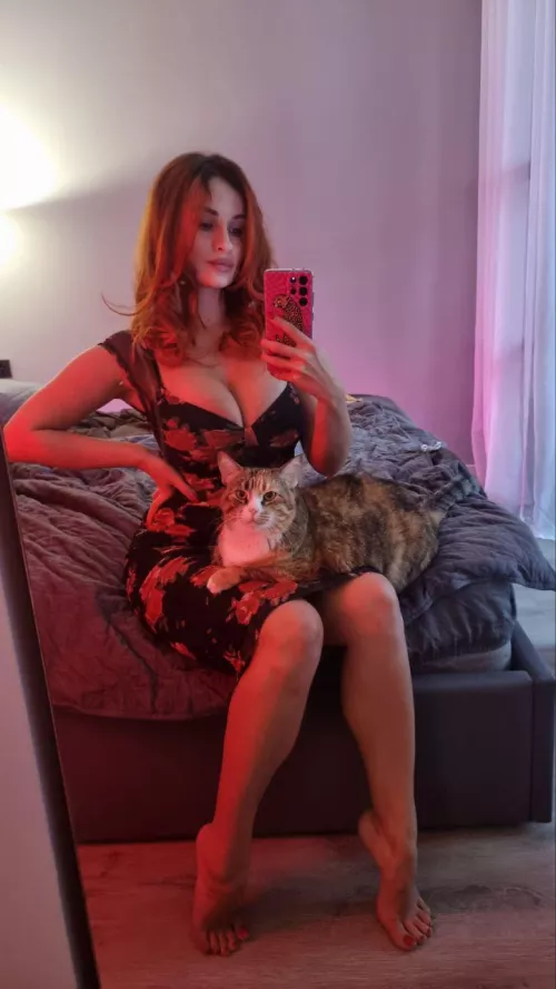 How do you like my cat (IUTR) by PetiteKelliLove