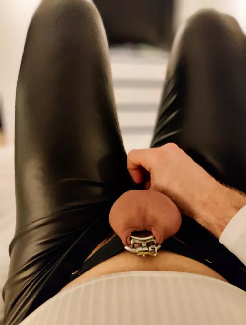 It won't stay that tiny, right Mistress? 💜 by Osram262