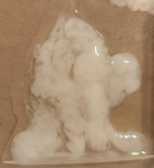 its like an art piece by Holiday_Agent_9339