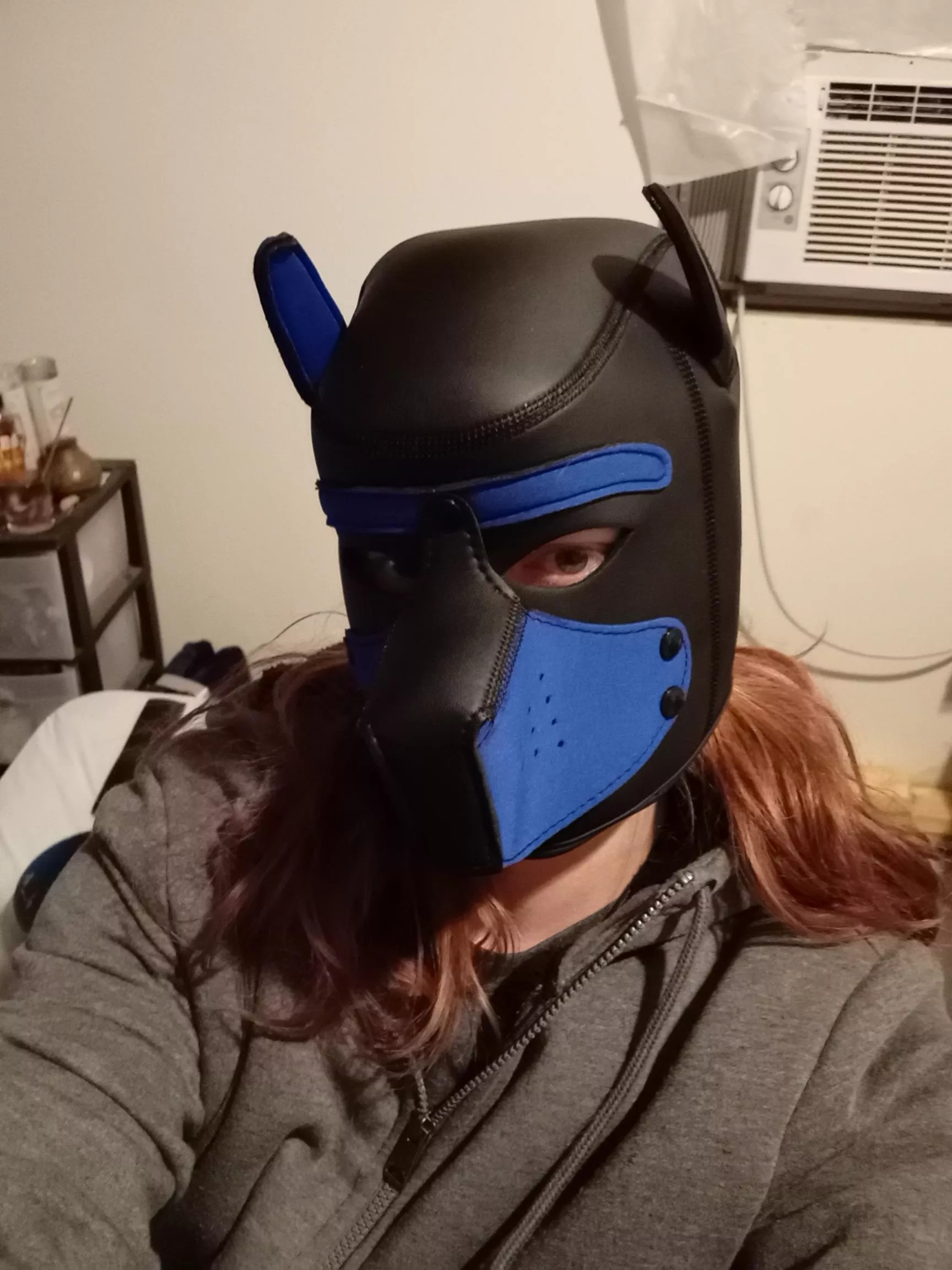 Just got my own pup mask!! How do I look? posted by Quirky_Kangaroo_4527