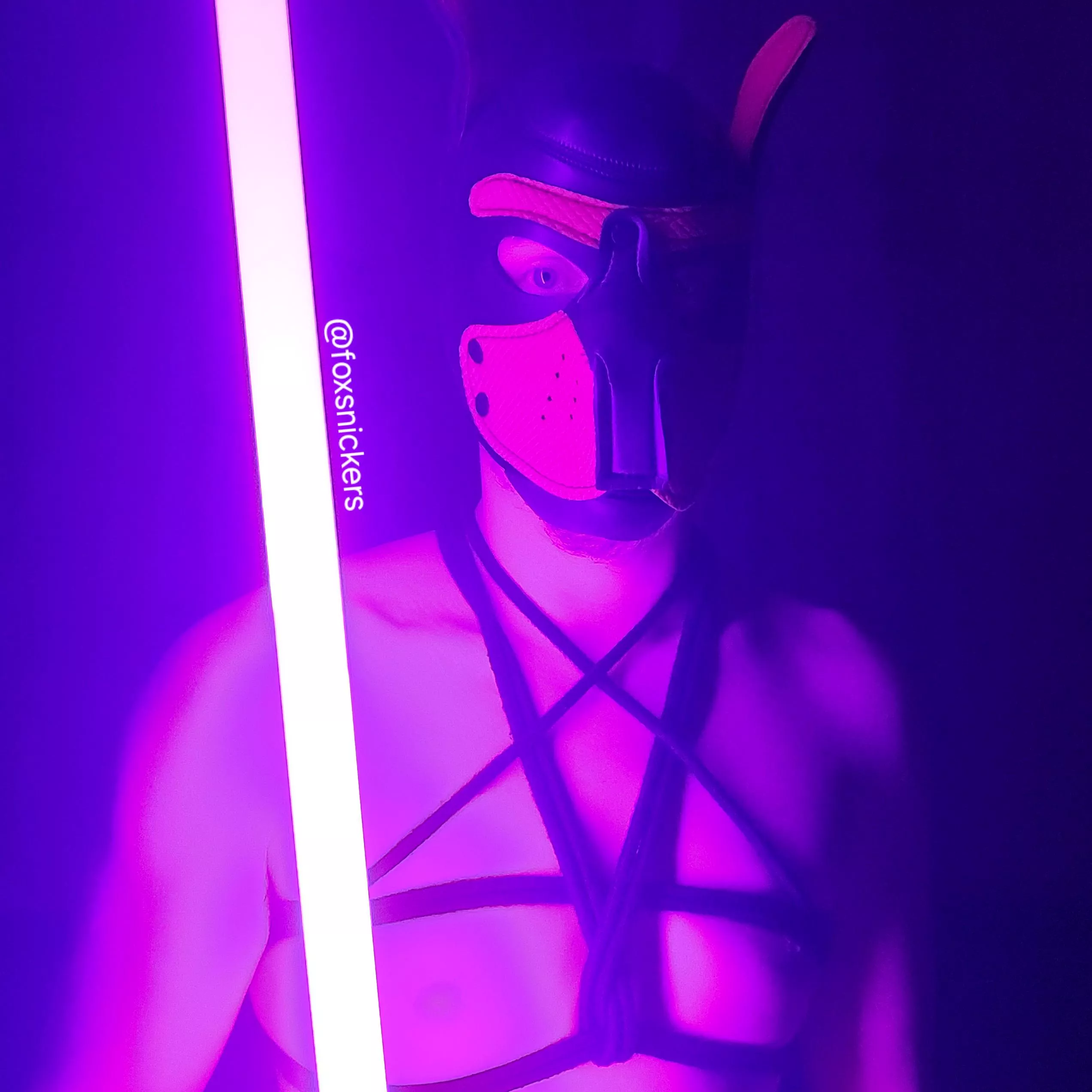 Light and dark! posted by FoxSnickers