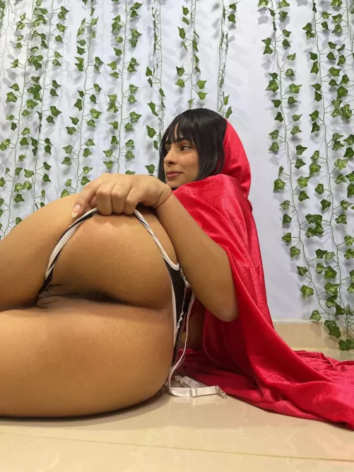 Little Red Riding Hood is looking for a wolf by BigAdhesiveness4726