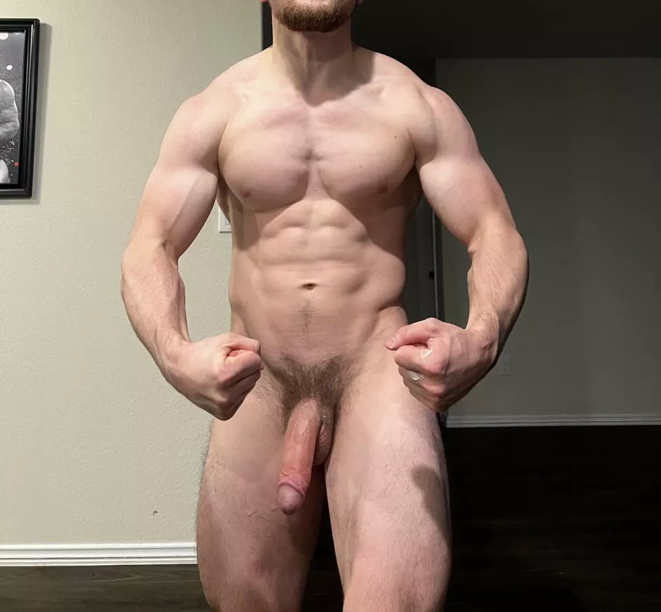 Muscular Texas bull 🐂 posted by Blessed2133