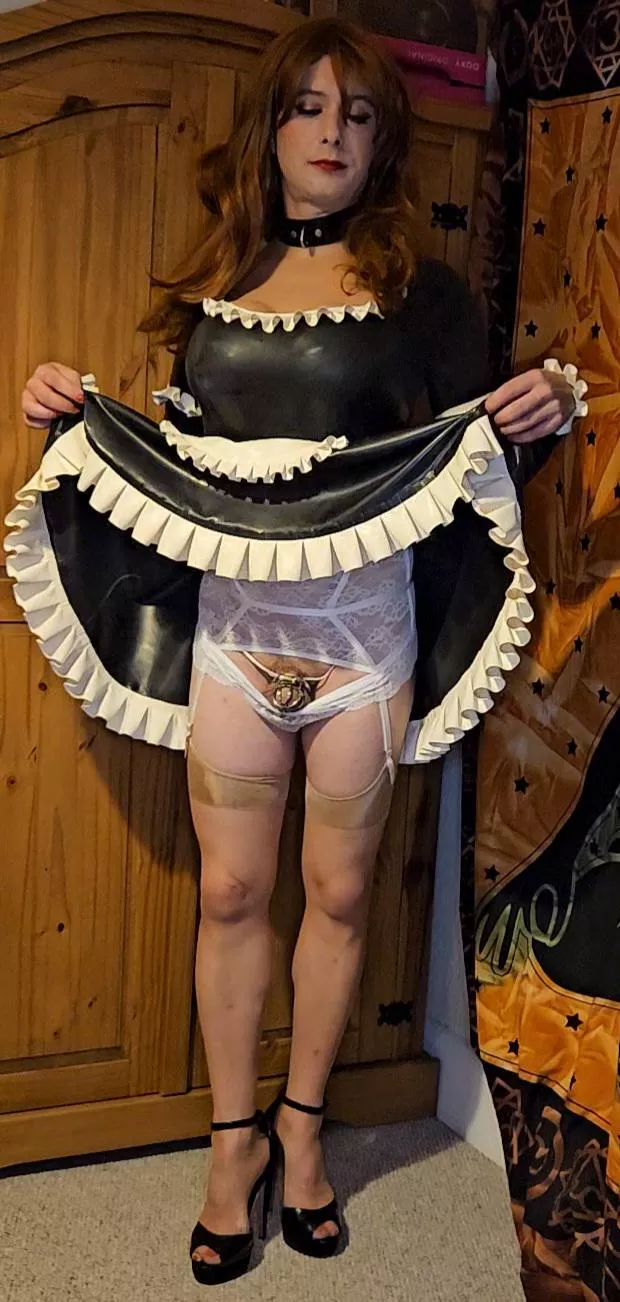 Ready for my cage inspection before I carry on with my tasks posted by seedycdunsure