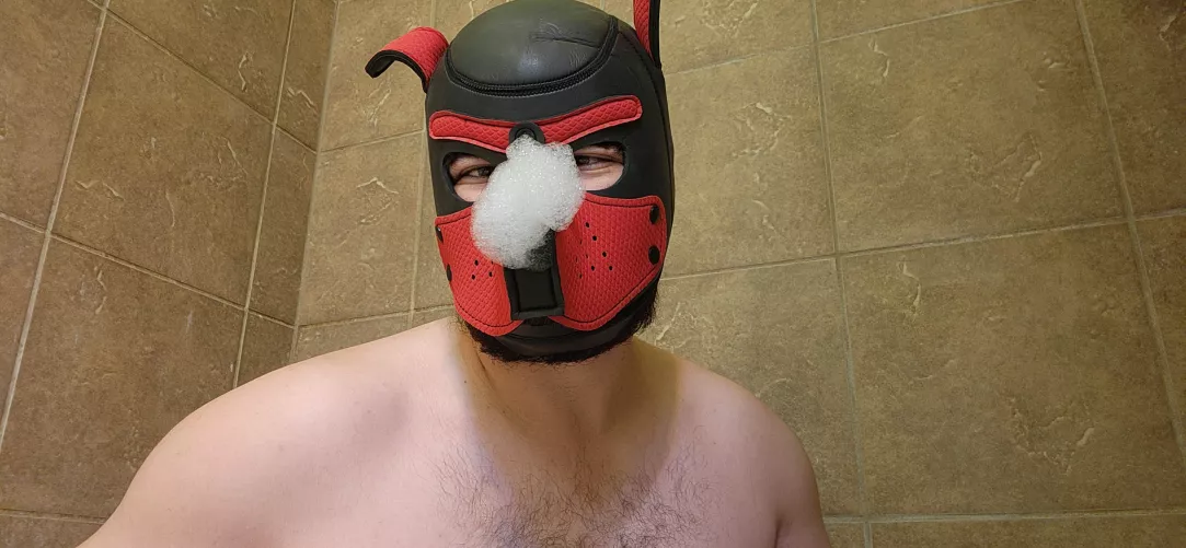 Rub a dub dub, pup in da tub by SaneRoleplay