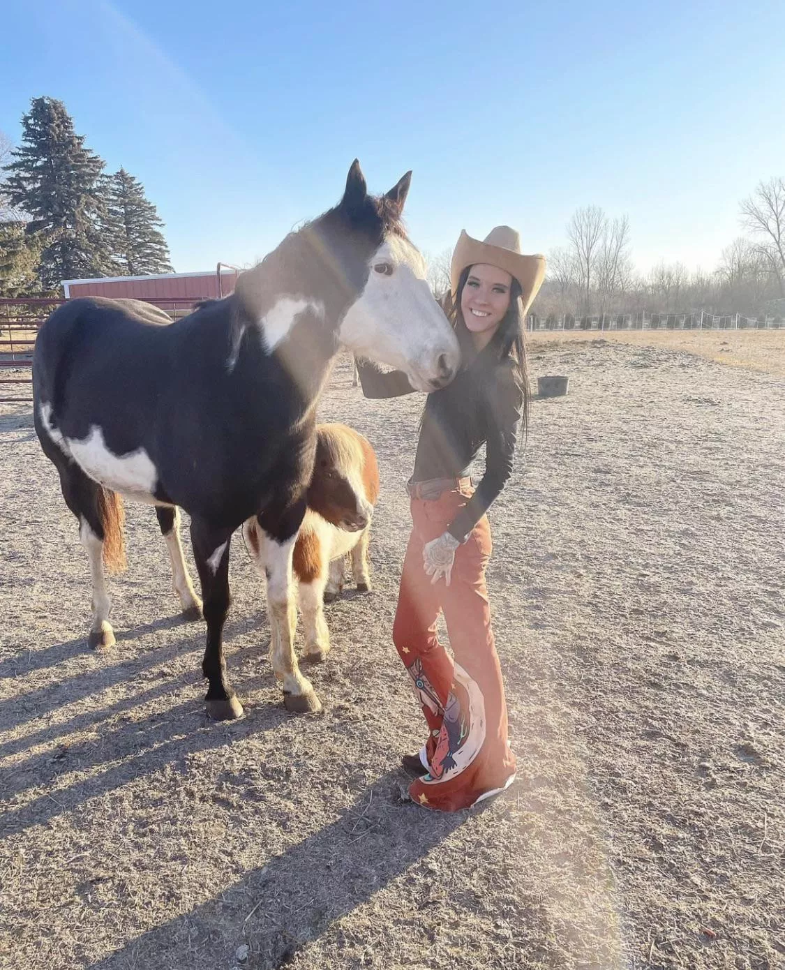 Save a horse ride a cowboy 🤠 posted by Tripleys123