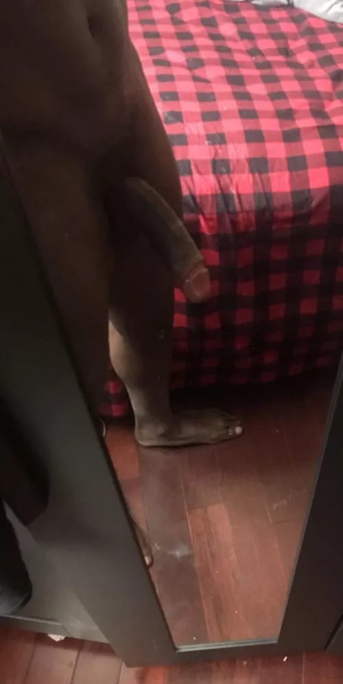 Snowed in. by ckatdaddii