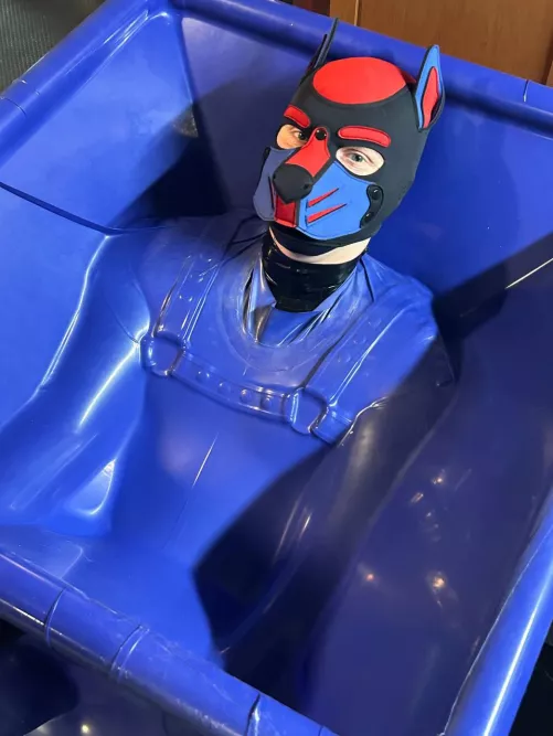 Sometimes puppies get a little bit stuck by DustyPup