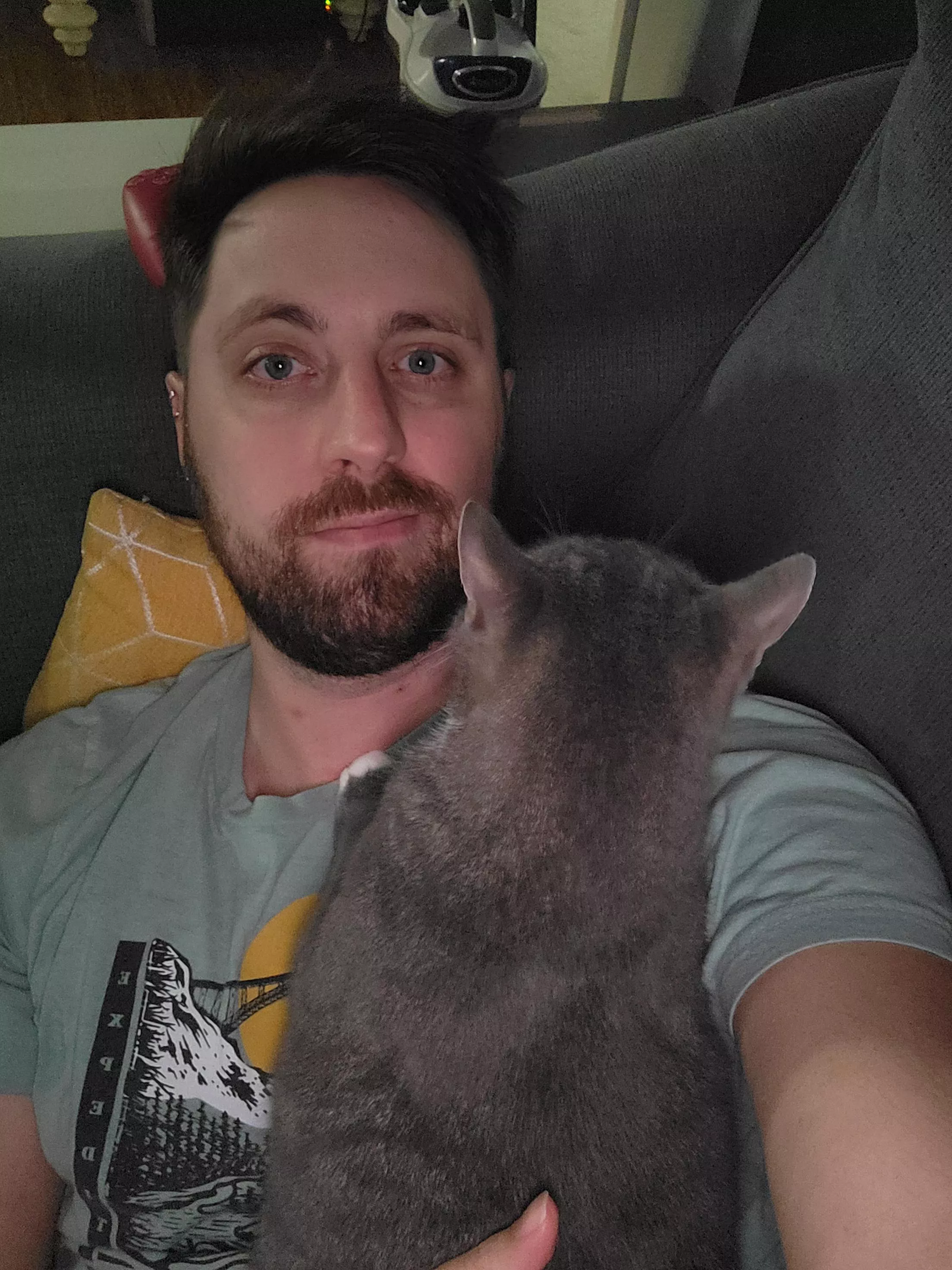 This sweet baby wouldn't come within 20ft of me for the first 2 years I had her. posted by FOOTonFIRE