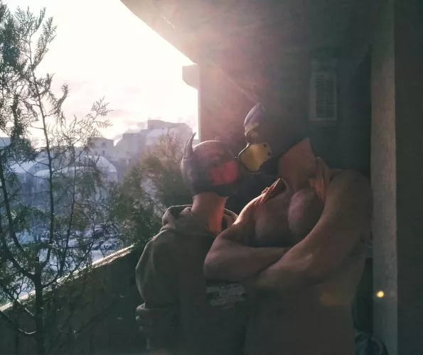 Two pups on a winter morning by LupinusThePup