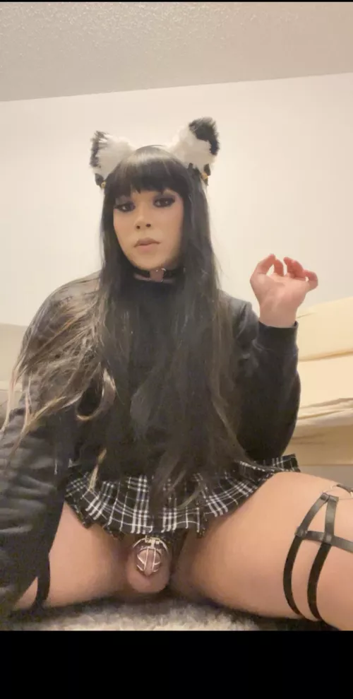 Years of being degraded, humiliated, and sissy hypno: by Jamiewaifu