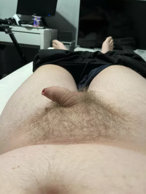 You like my small chubby cock bby xx by Top_Bandicoot5518