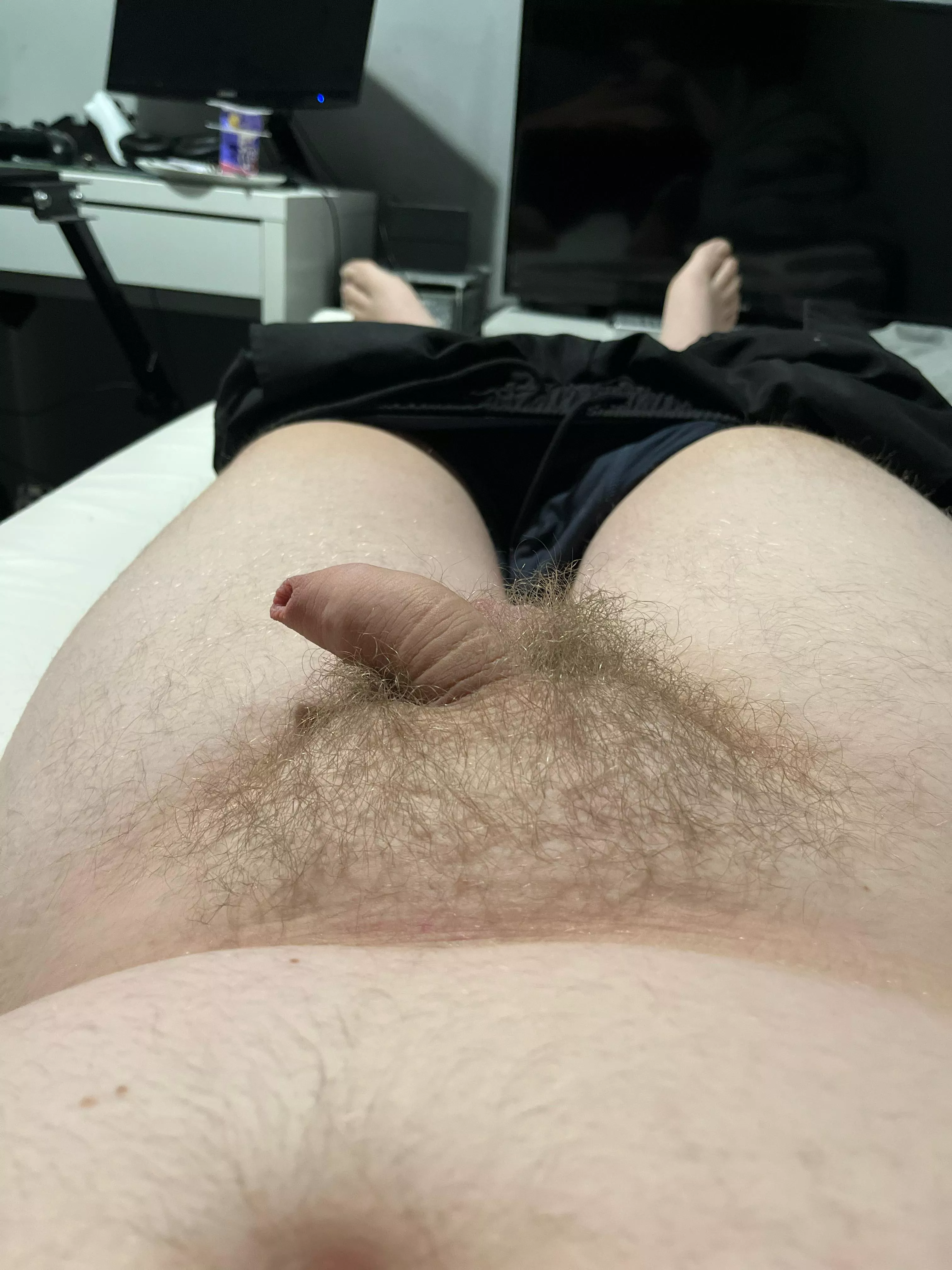 You like my small chubby cock bby xx posted by Top_Bandicoot5518
