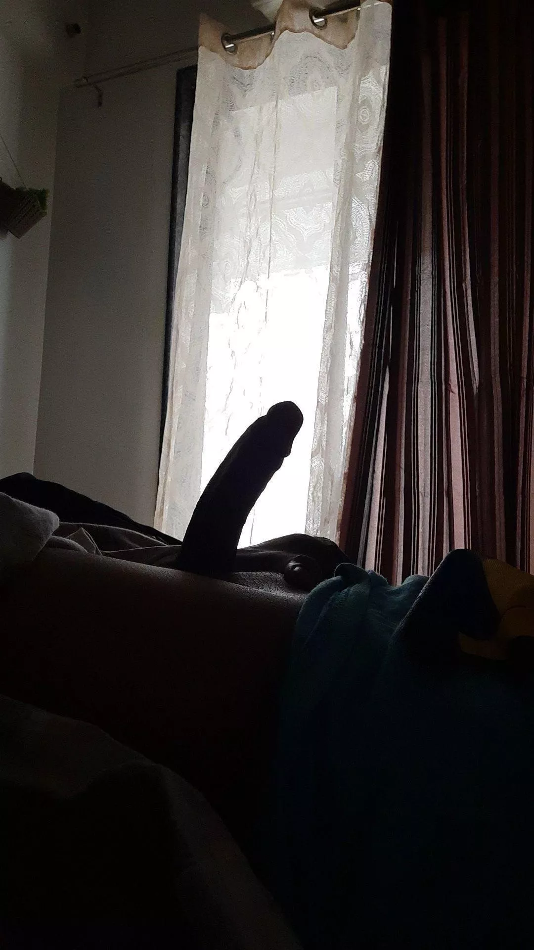 your morning view 🪵 posted by ookami20