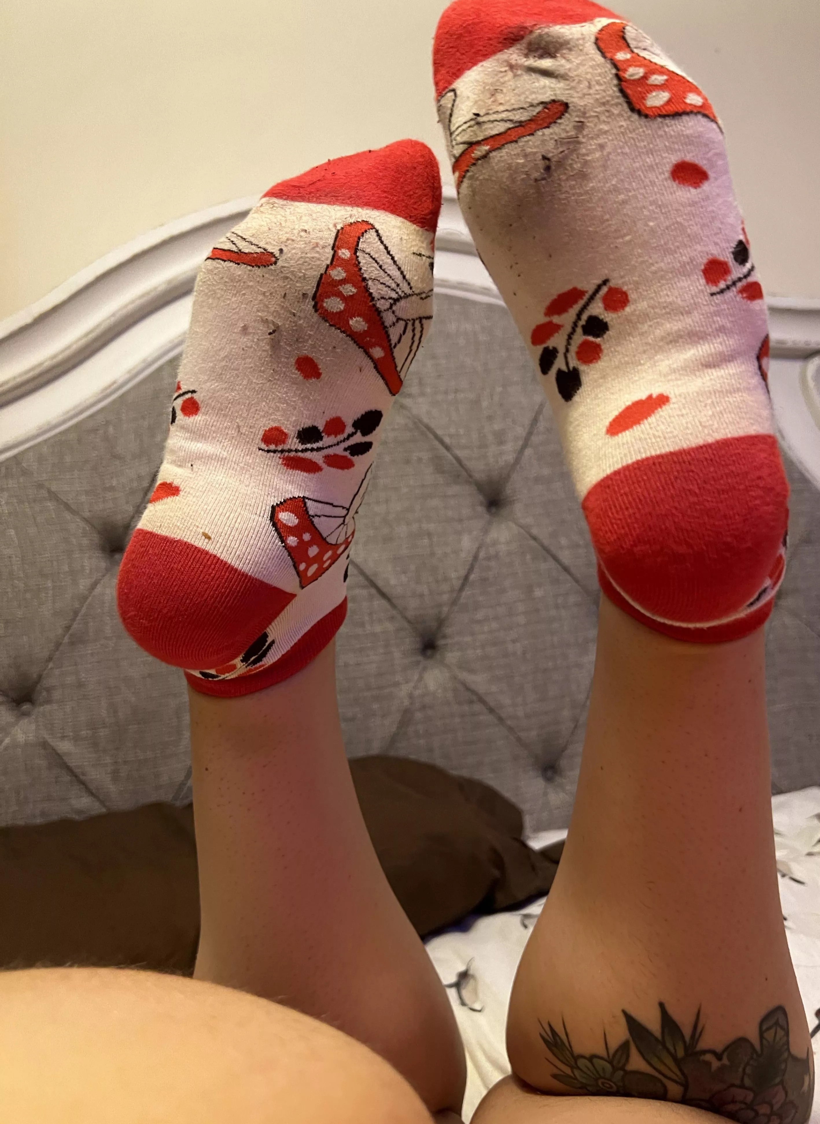 Yummy mushrooms posted by penelopes_nectar