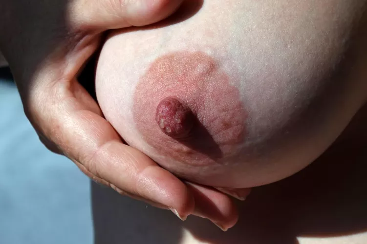 34 weeks pregnant and my milk's just coming in. Help me bring it on properly? I want it running all over my big belly... by GSAlt01