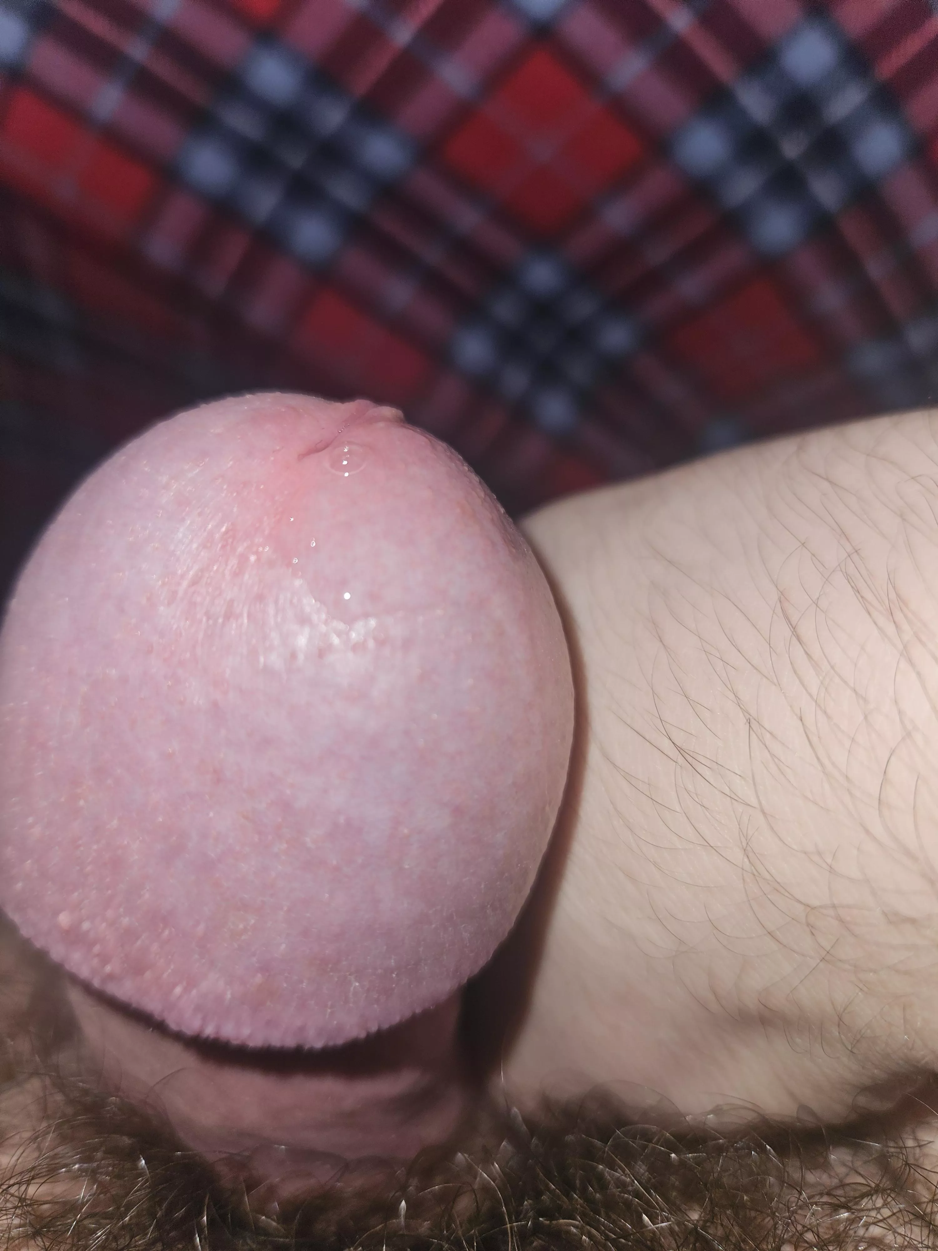 A fresh load is brewing 🤤 posted by Impressive_Shape4554