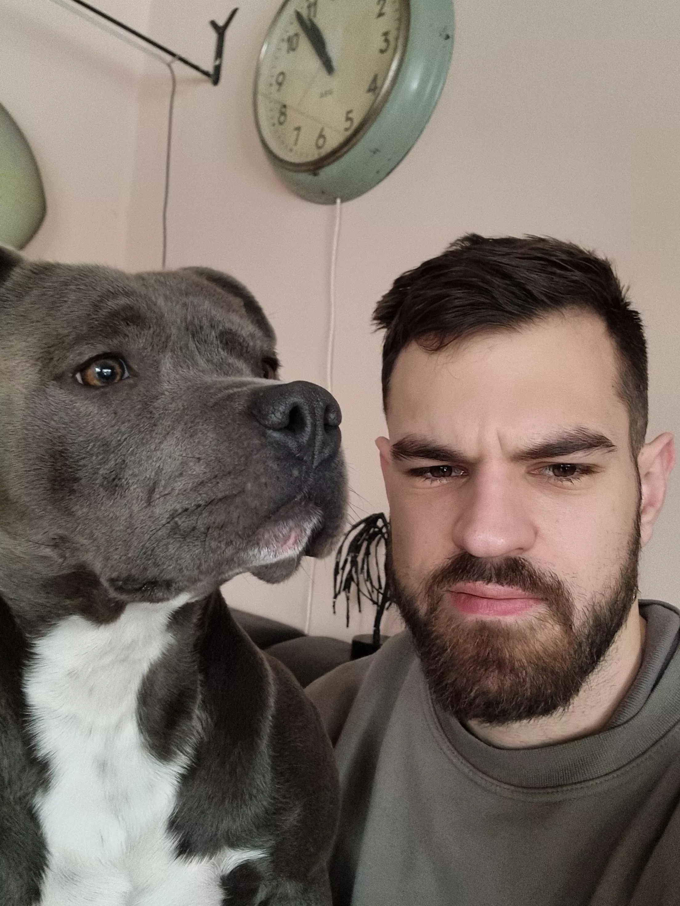 Any dog lovers here? posted by babeloe328