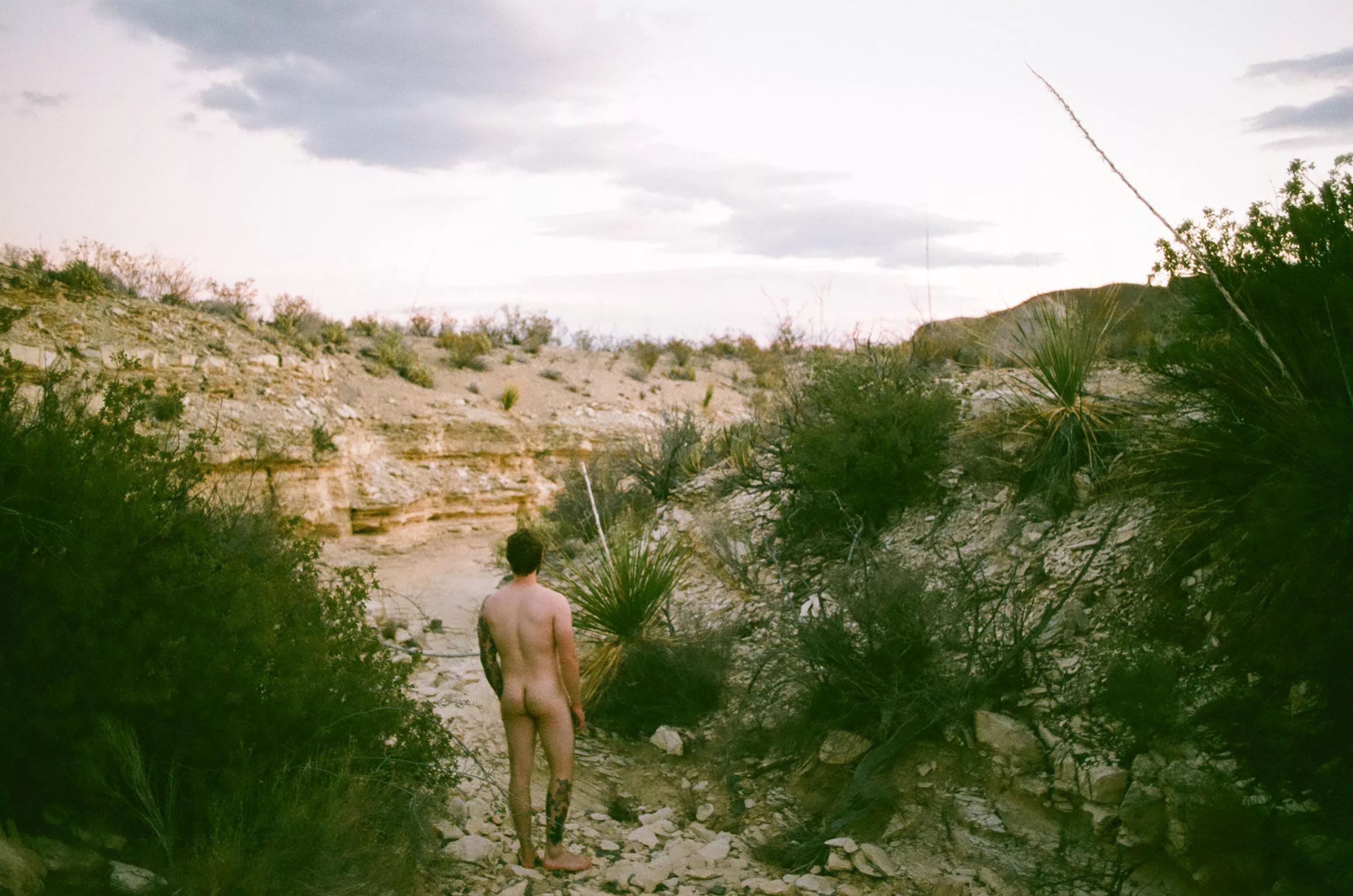 Desert booty posted by MrDugeHick_