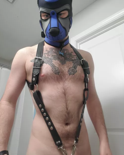 First piece of leather. How does it look? by Haigud