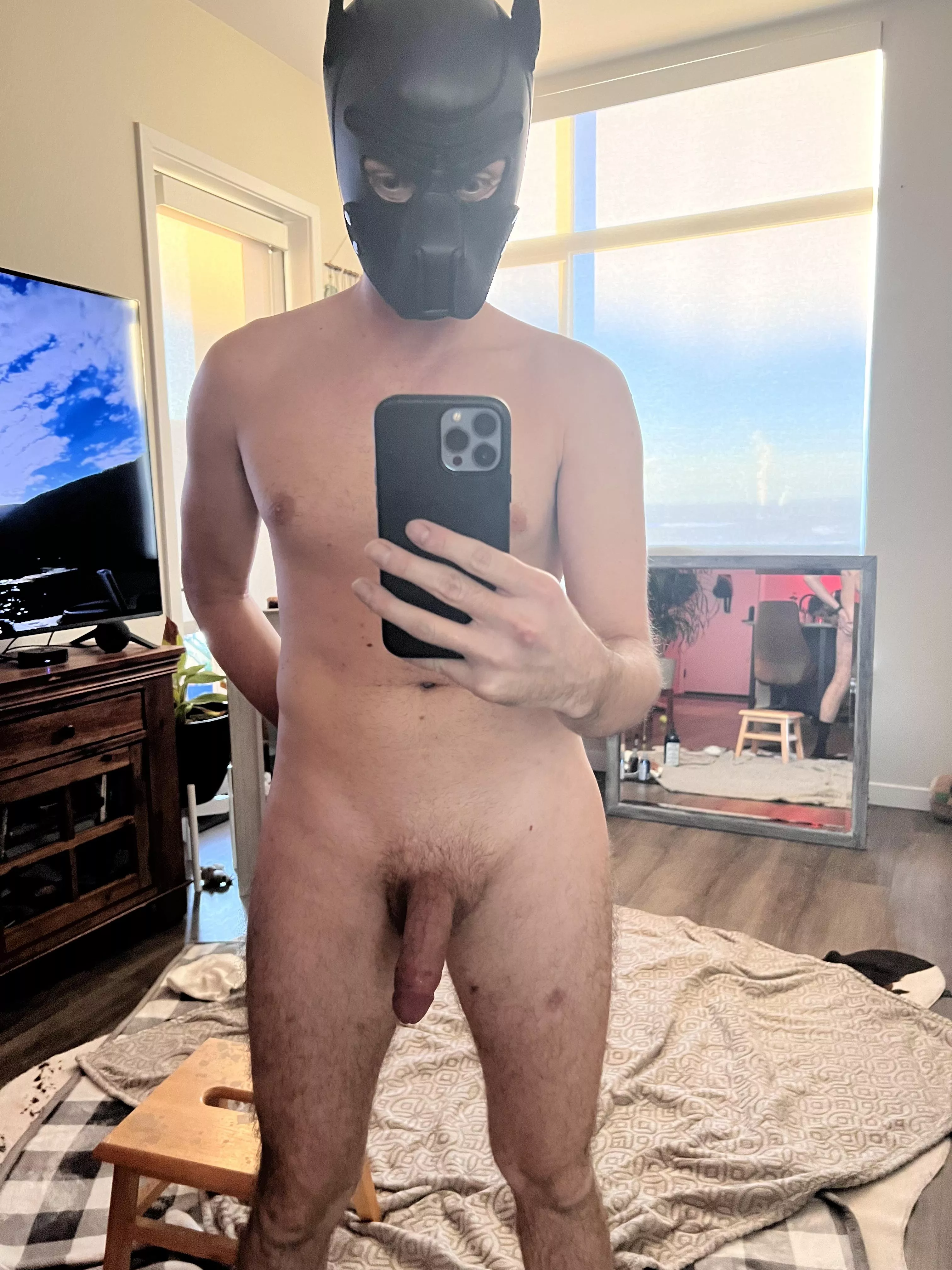 First time coming out, hello I am Stud! posted by CannonPawz