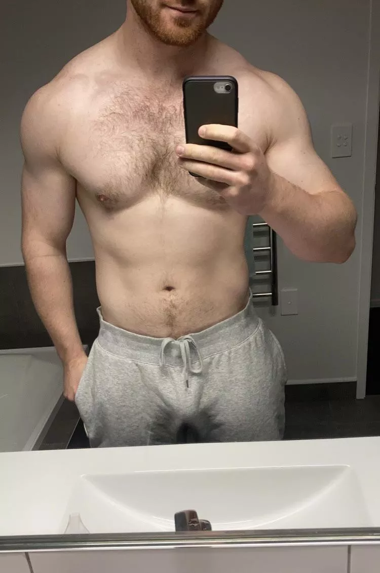 Getting back into the gym after all the treats posted by Fit-Bloke-Jack97