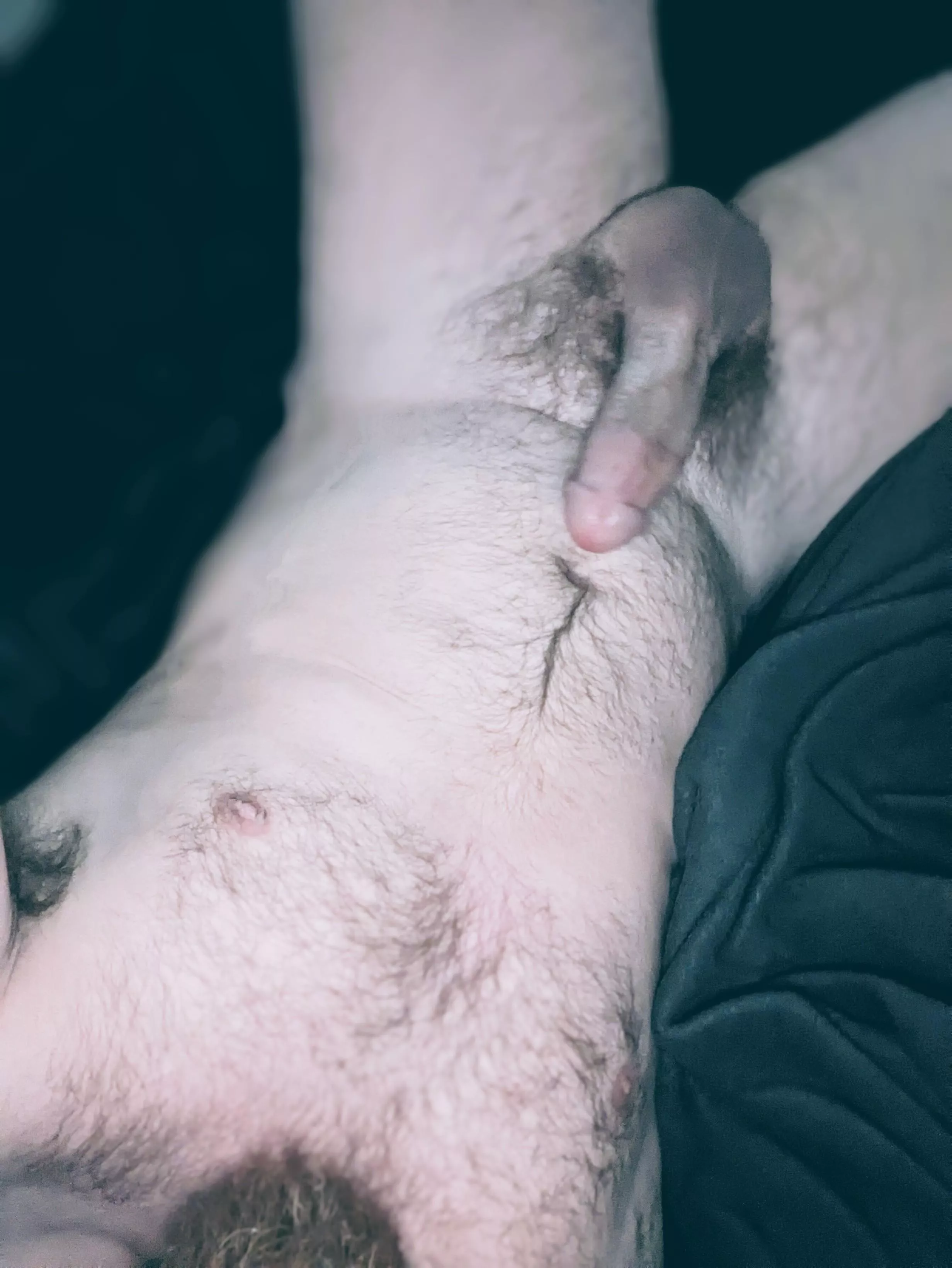 Hope you like my fur! posted by Hidenseek90