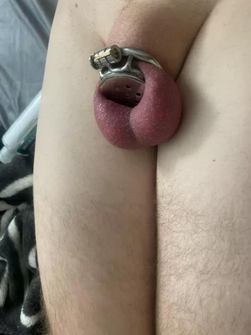 how does my clitty look? by sissylife6