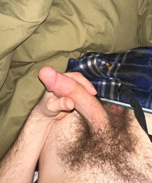 Is my hairy cock worthy of being here by 2bibros