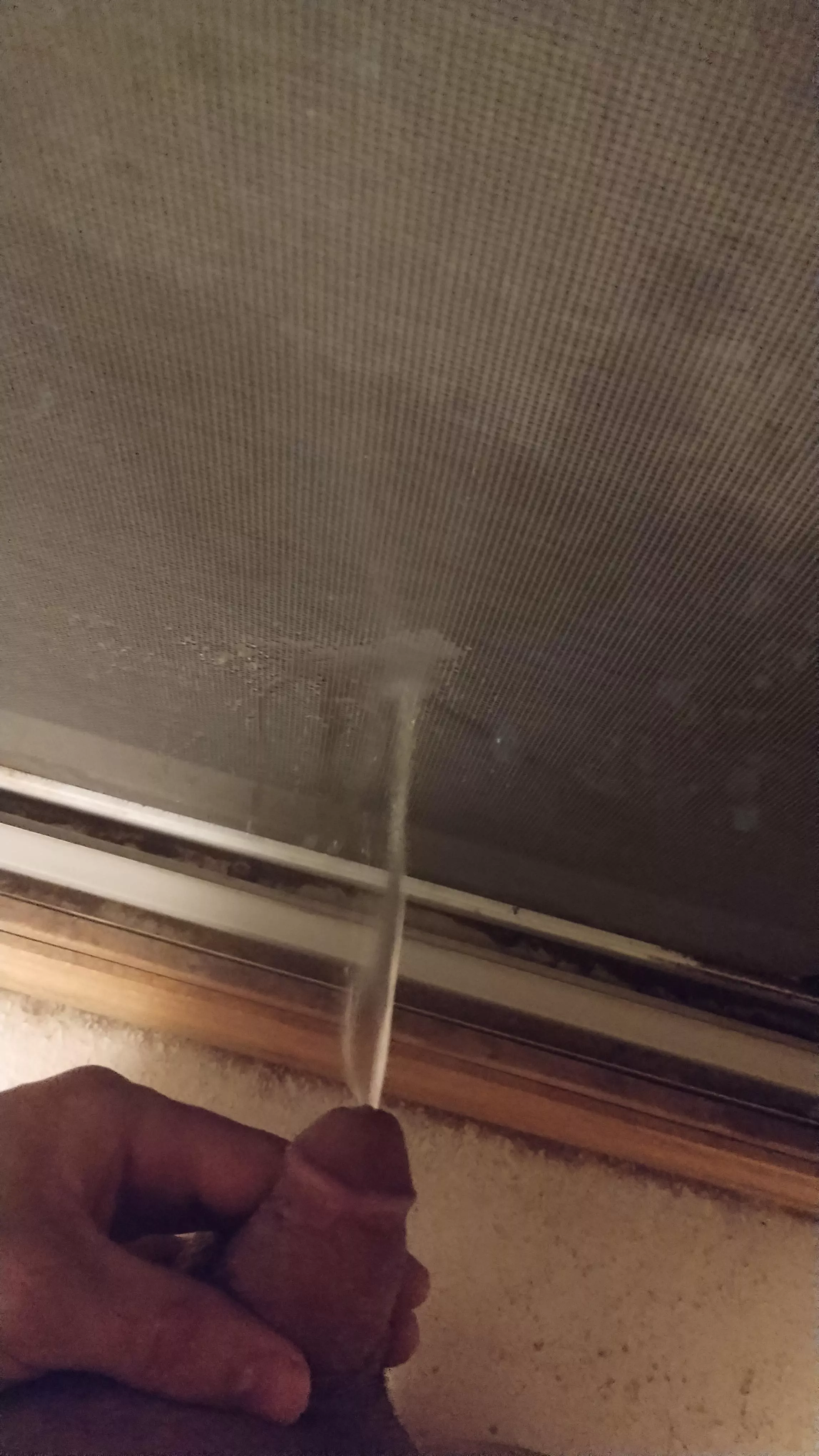 My Favorite Way To Pee Right Now!! So much fun! (M) 26 posted by Comfortable-Peace973