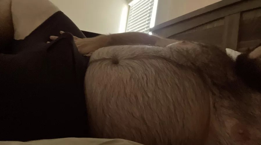 My plan is to do absolutely nothing today. With the exception…. 32M by Sweet_tea991