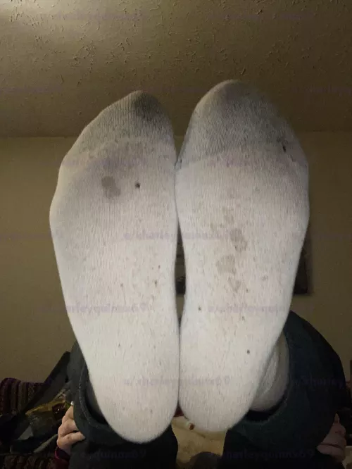 My socks get extremely dirty on a daily basis (f) by xharleyquinnx69